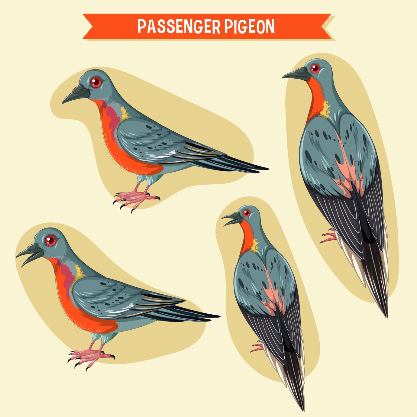 The Demise of the Passenger Pigeon